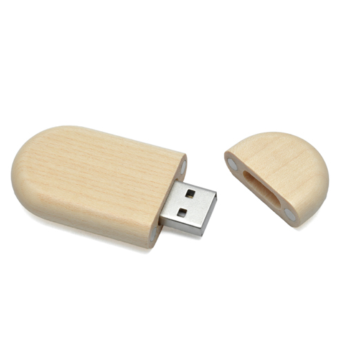 BG-USB100